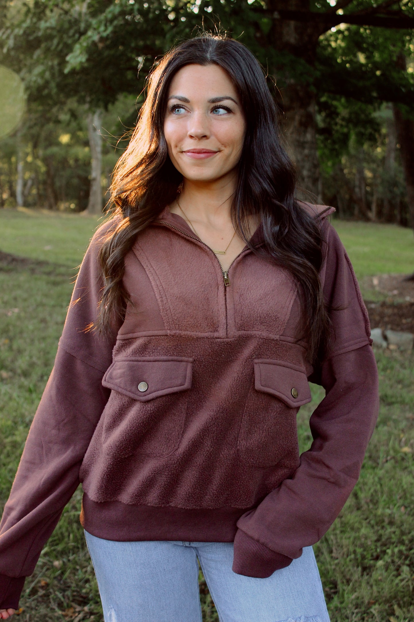 Alpine Half Zip Pullover - Brown